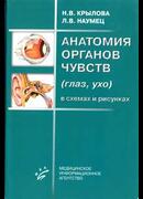 Анатомия органов чувств (глаз, ухо) в схемах и рисунках