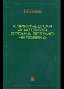 Клиническая анатомия органа зрения человека