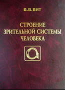 Строение зрительной системы человека