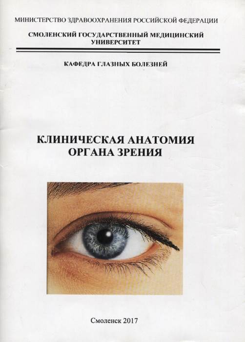Клиническая анатомия органа зрения: учебное пособие для самостоятельной работы студентов