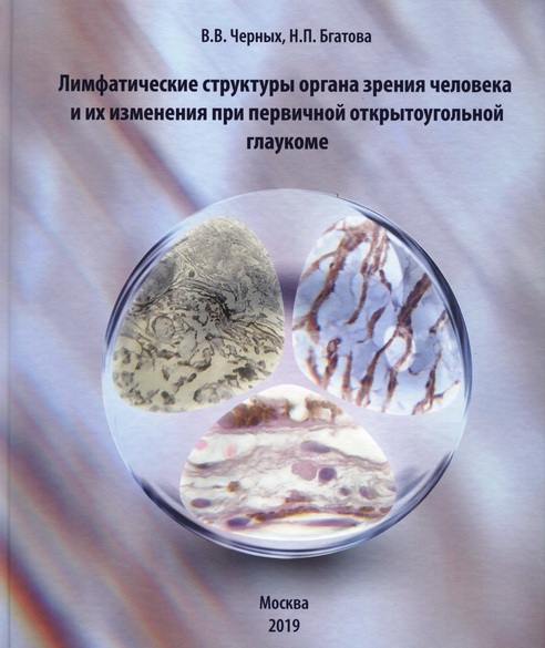 Лимфатические структуры органа зрения человека и их изменения при первичной открытоугольной глаукоме