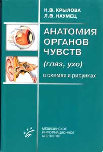 Анатомия органов чувств (глаз, ухо) в схемах и рисунках
