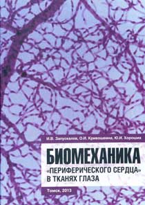 Биомеханика 