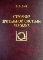 Строение зрительной системы человека